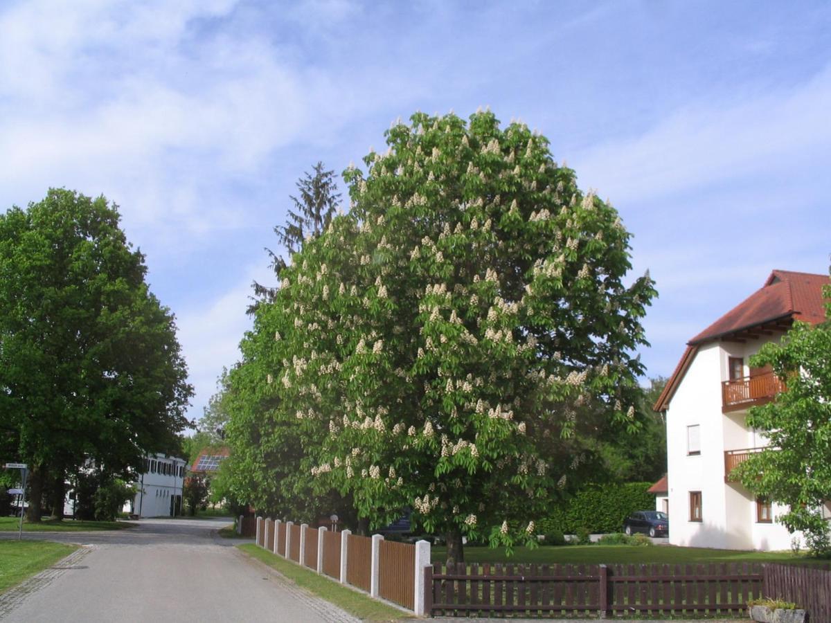 Pension Eva Neuhaus am Inn Exterior photo